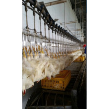 Overhead Conveyor Line of bird processing line